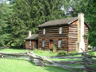 Old Log Cabin