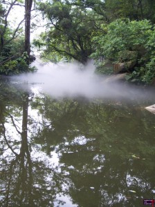 The Fog is Coming!